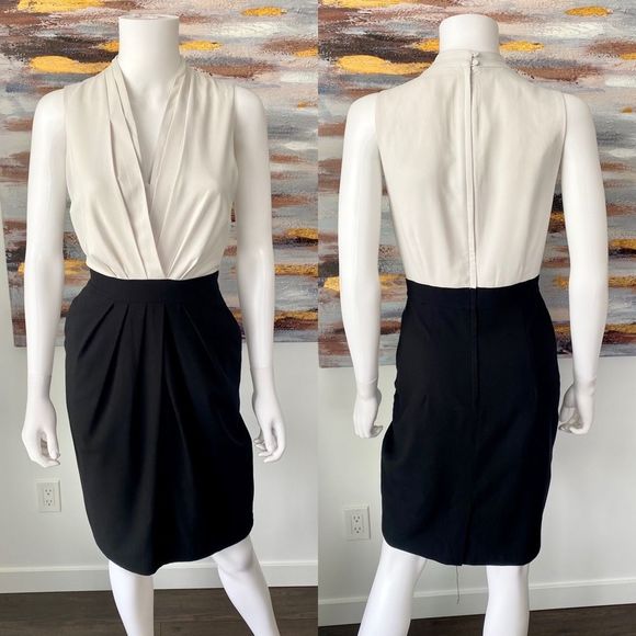 Sleeveless Beige and Black Tulip Dress - Picture 1 of 8